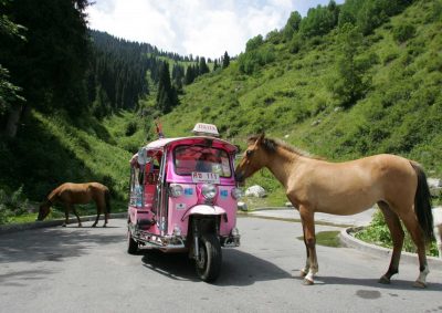 Ants and Ting Tong the tuk tuk, Kakazhstan, 2006